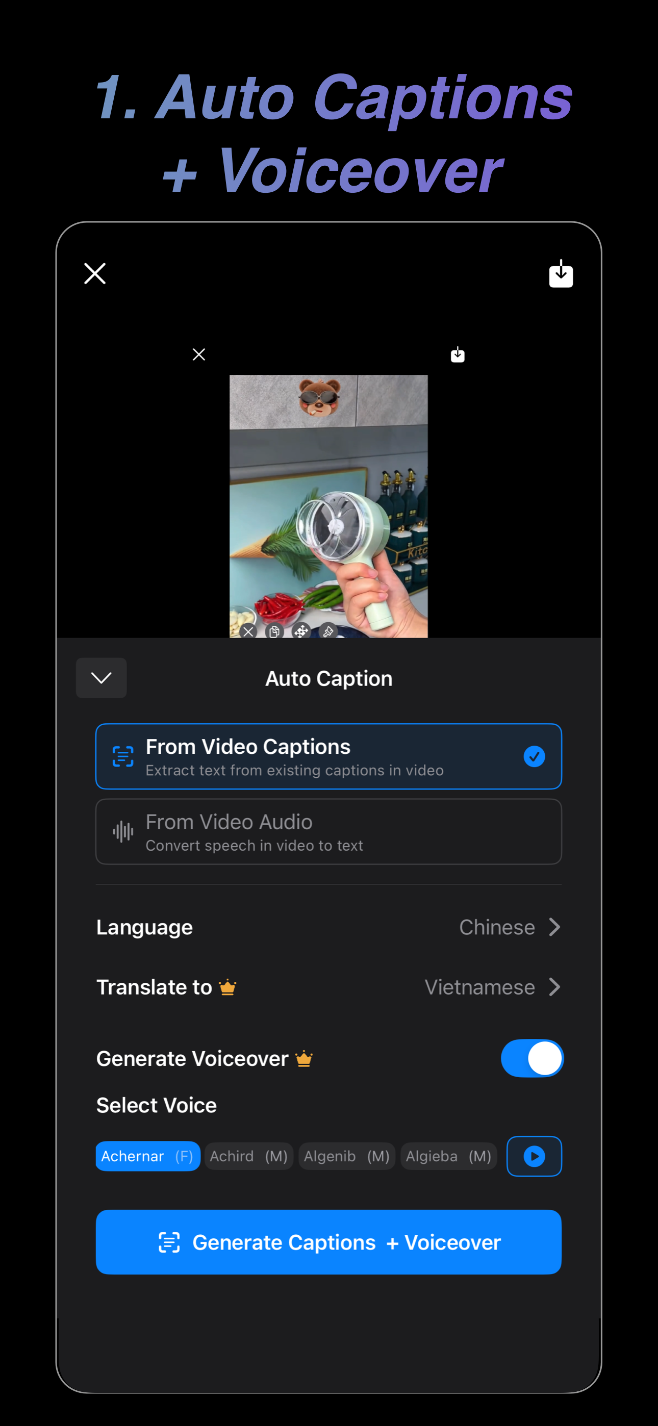 TransVid Screenshot 2